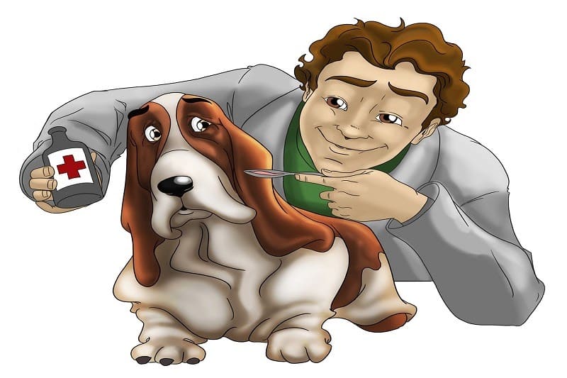 Contabilidade para clínica veterinária - imagem médico veterinário medicando cachorro